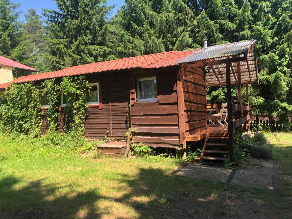 Gosciniec Pod Debem Villa Wilimy Eksteriør bilde